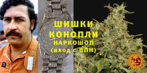 spice Алексин