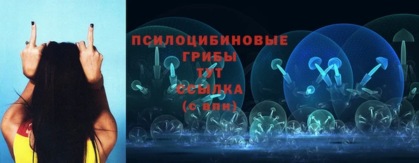 spice Алексин