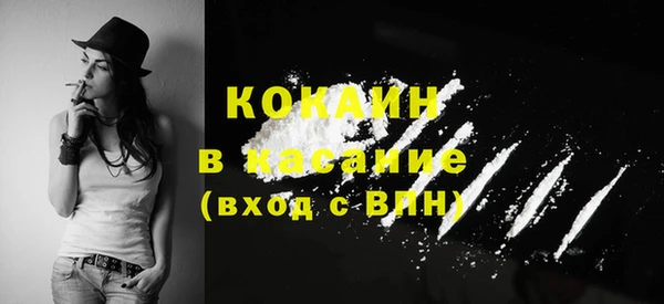 spice Алексин