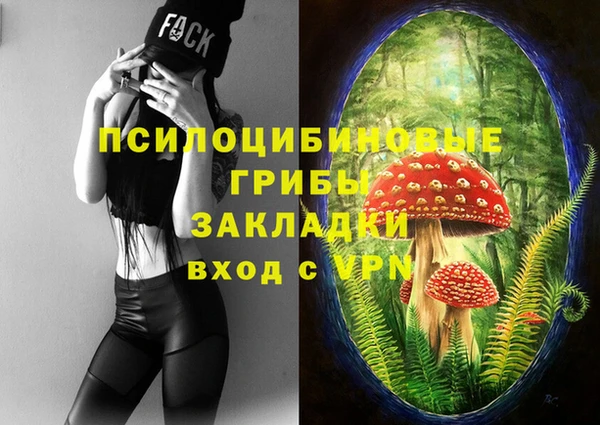 spice Алексин