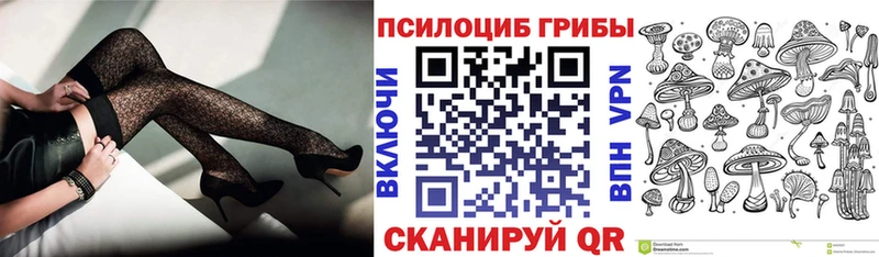 Псилоцибиновые грибы MAGIC MUSHROOMS Стародуб
