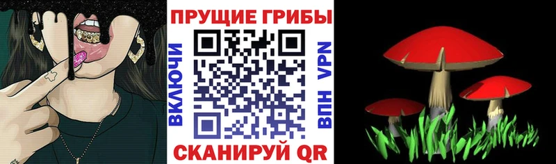Псилоцибиновые грибы мухоморы  ОМГ ОМГ tor  Стародуб 
