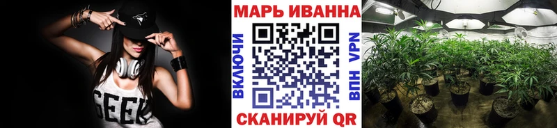 omg ONION Стародуб Канабис план купить закладку